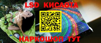 ПСИЛОЦИБИНОВЫЕ ГРИБЫ Чебоксары