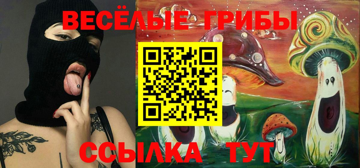 Галлюциногенные грибы мухоморы Астрахань